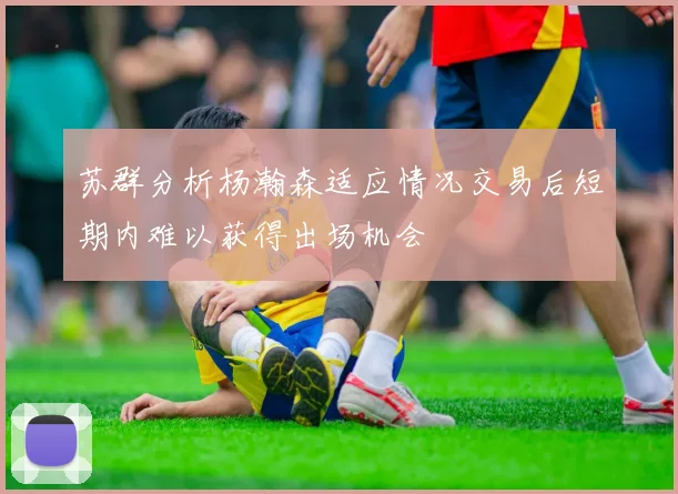 苏群分析杨瀚森适应情况交易后短期内难以获得出场机会