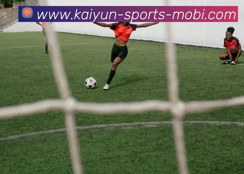 开云体育平台生态图