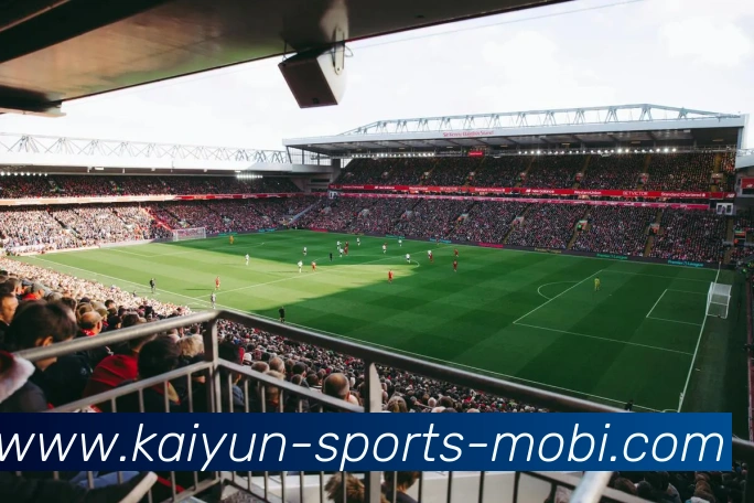 开云体育APP 封面图